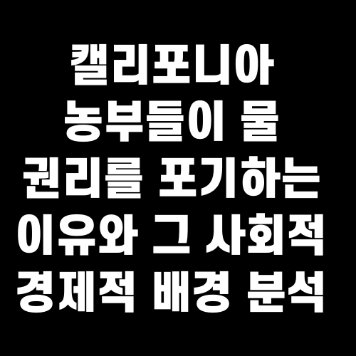 캘리포니아 농부들이 물 권리를 포기하는 이유와 그 사회적 경제적 배경 분석