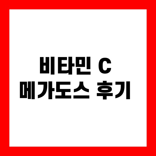 비타민 C 메가도스 후기