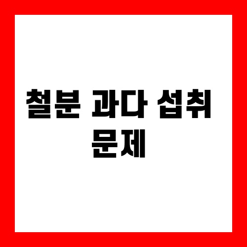 철분 과다 섭취 문제